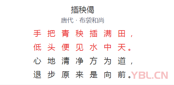 手把青秧插滿田低頭便見水中天是什么意思？
