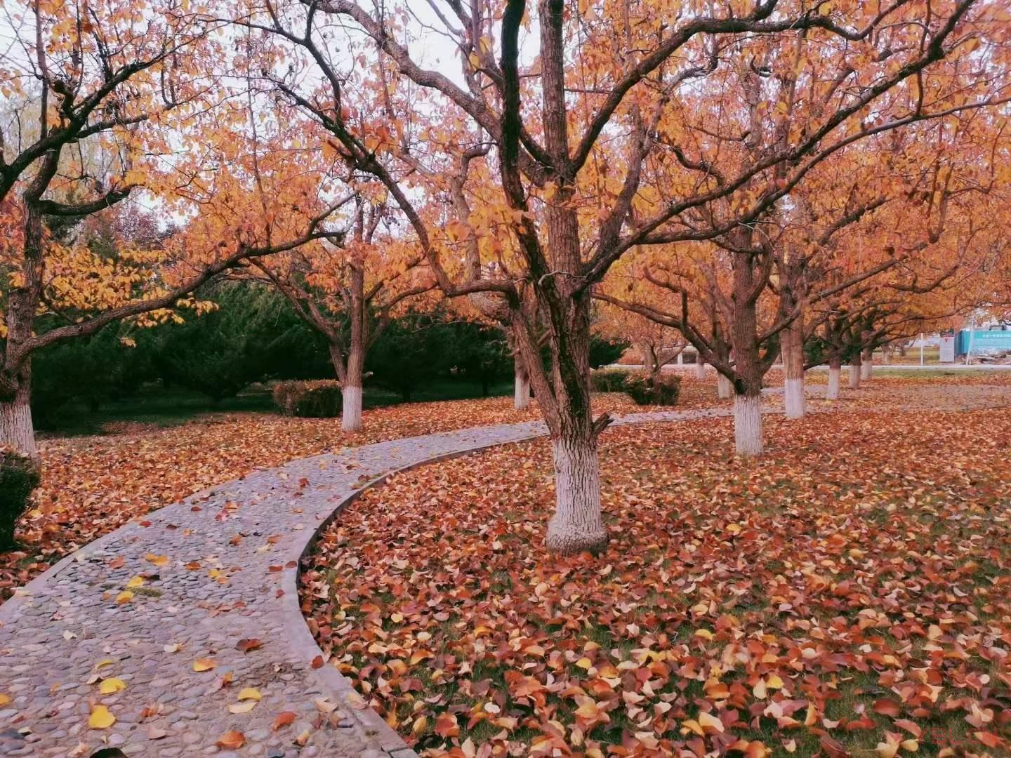 人要看開，切勿看透