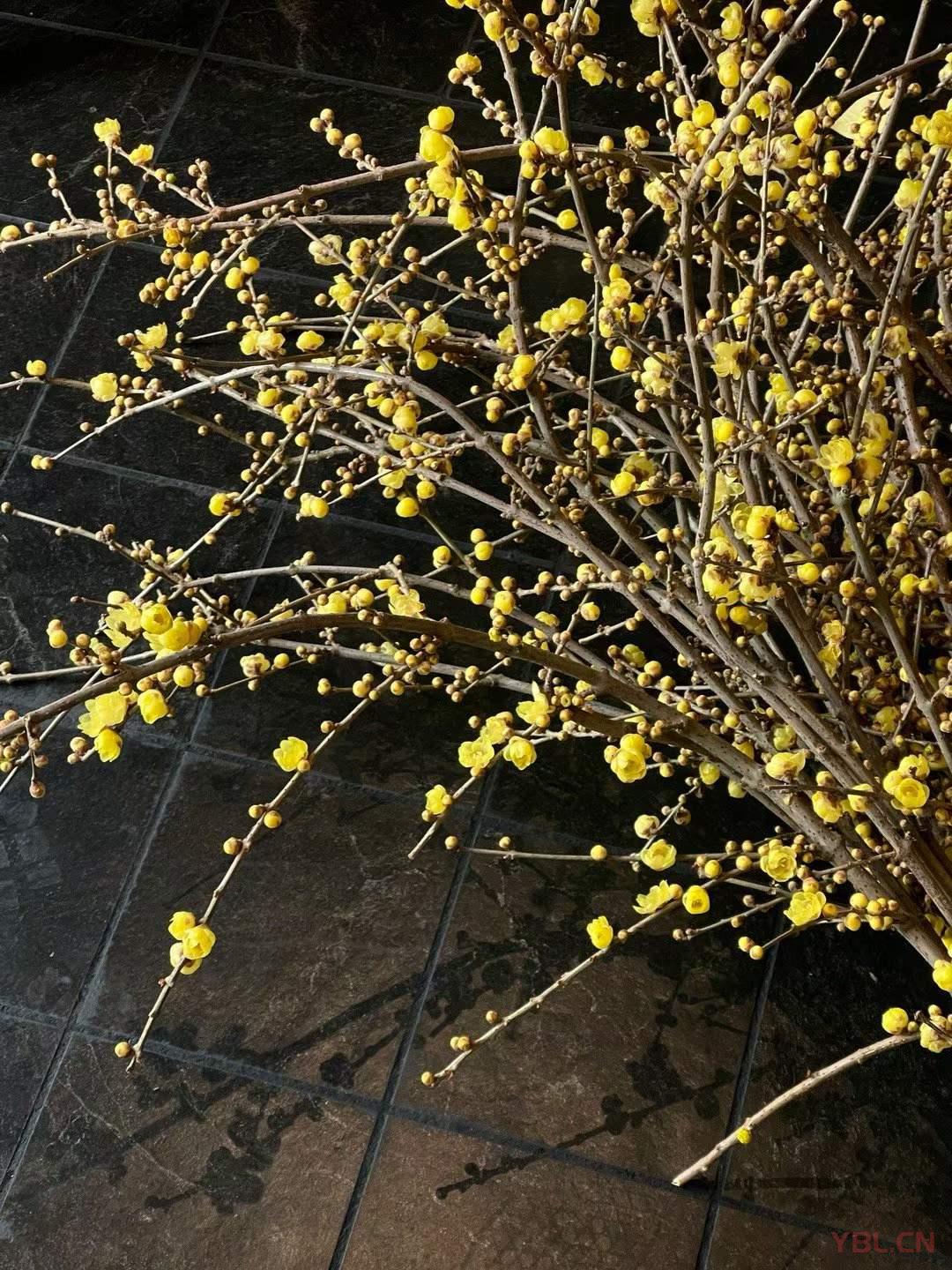 傷人的，負(fù)面的，頹廢不積極的話，我從來(lái)是不舍得多說(shuō)的